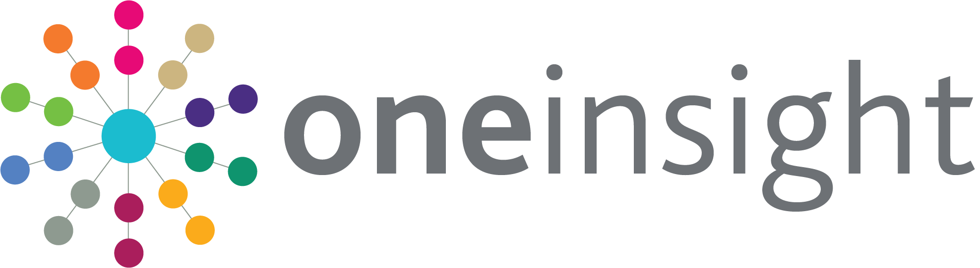 One Insight logo